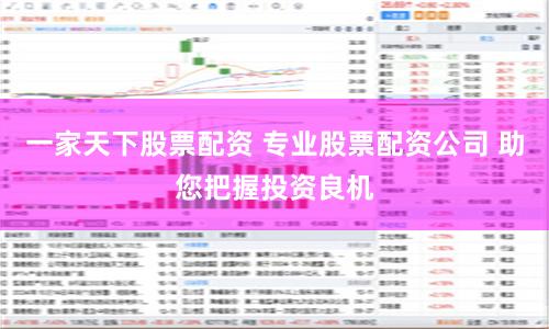 一家天下股票配资 专业股票配资公司 助您把握投资良机