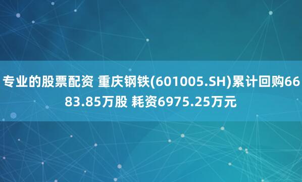 专业的股票配资 重庆钢铁(601005.SH)累计回购6683.85万股 耗资6975.25万元
