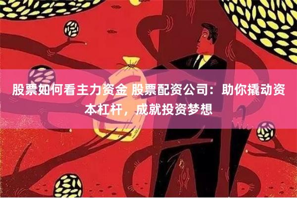 股票如何看主力资金 股票配资公司：助你撬动资本杠杆，成就投资梦想