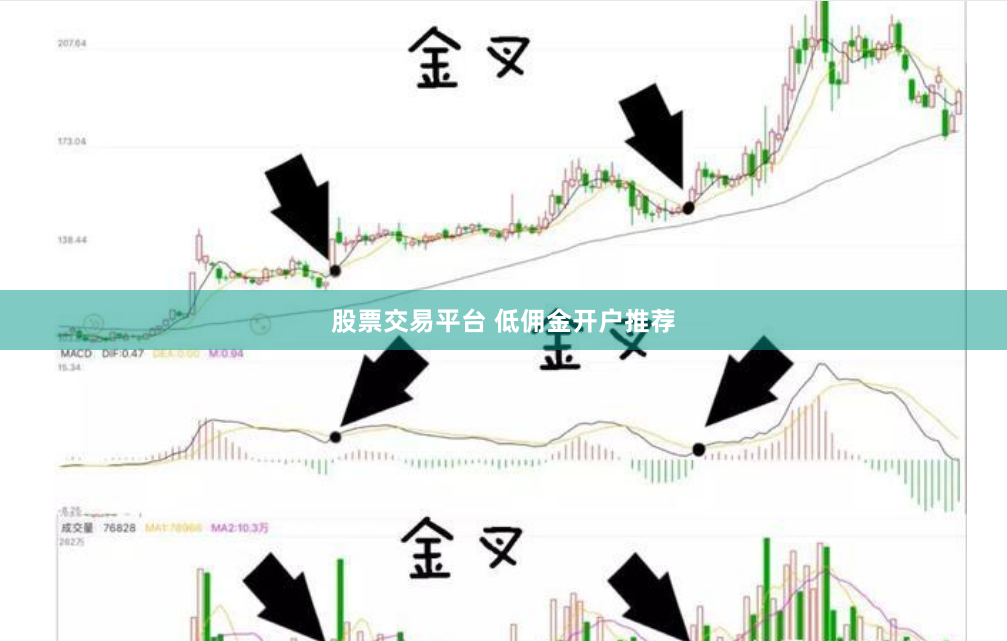 股票交易平台 低佣金开户推荐